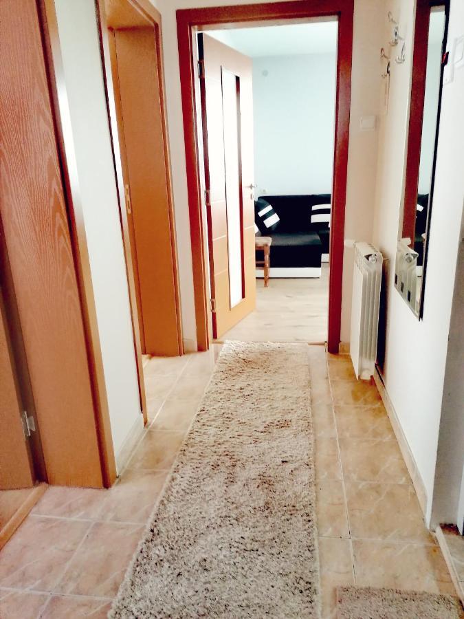 Apartment Daiv Сапарева Баня Екстер'єр фото